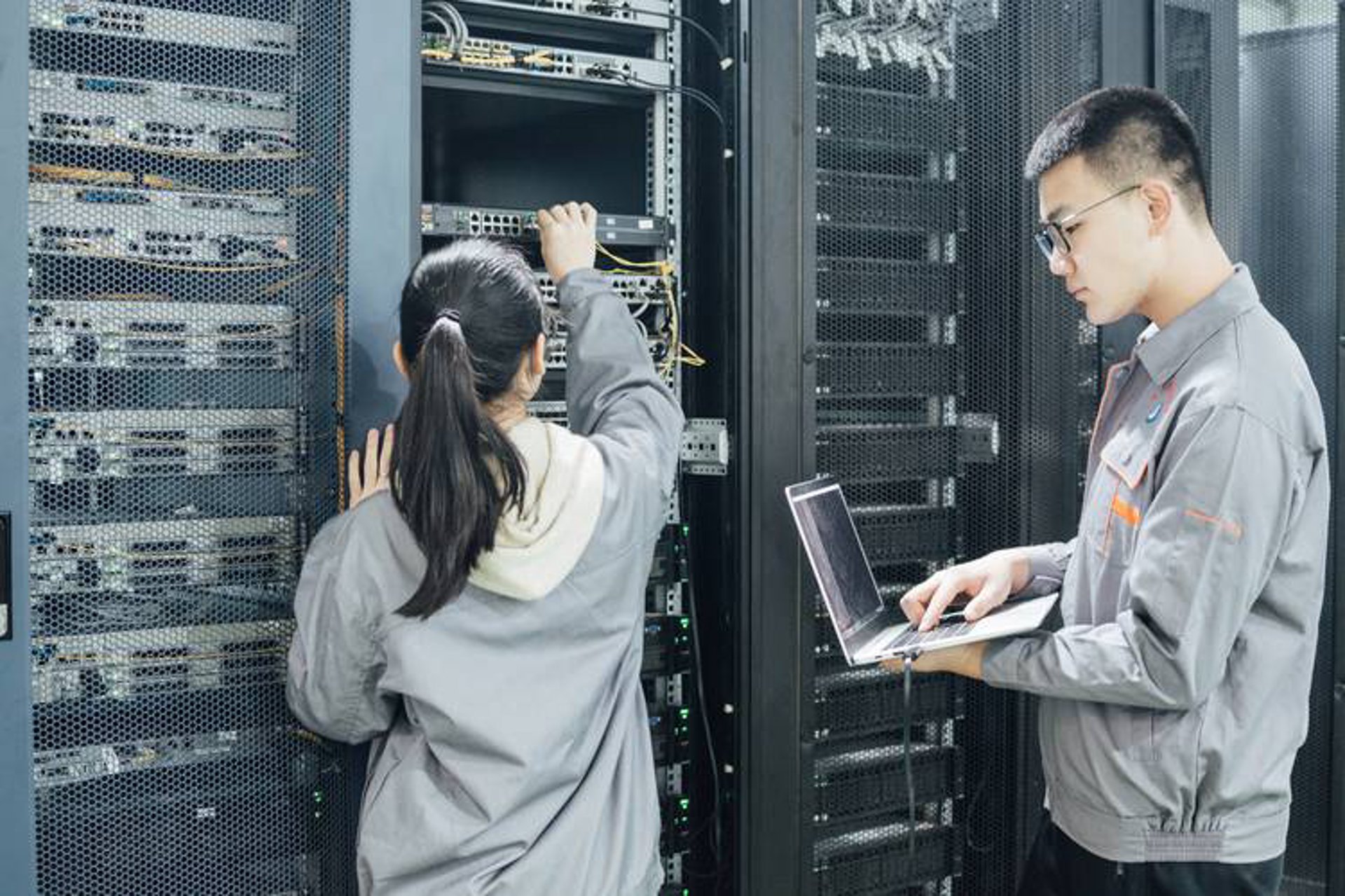 AI全自动养站程序：智慧时代的站点管家